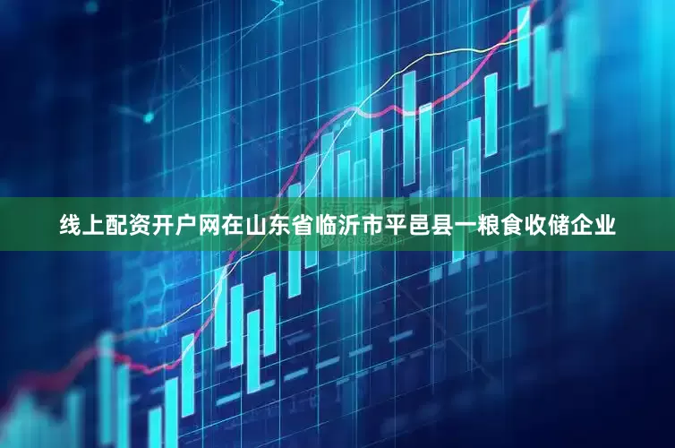 线上配资开户网在山东省临沂市平邑县一粮食收储企业