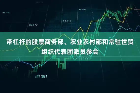 带杠杆的股票商务部、农业农村部和常驻世贸组织代表团派员参会