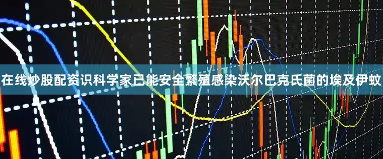 在线炒股配资识科学家已能安全繁殖感染沃尔巴克氏菌的埃及伊蚊