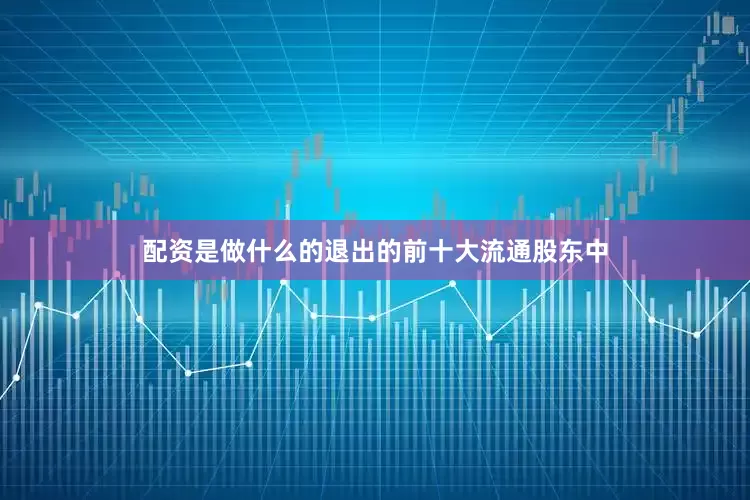 配资是做什么的退出的前十大流通股东中