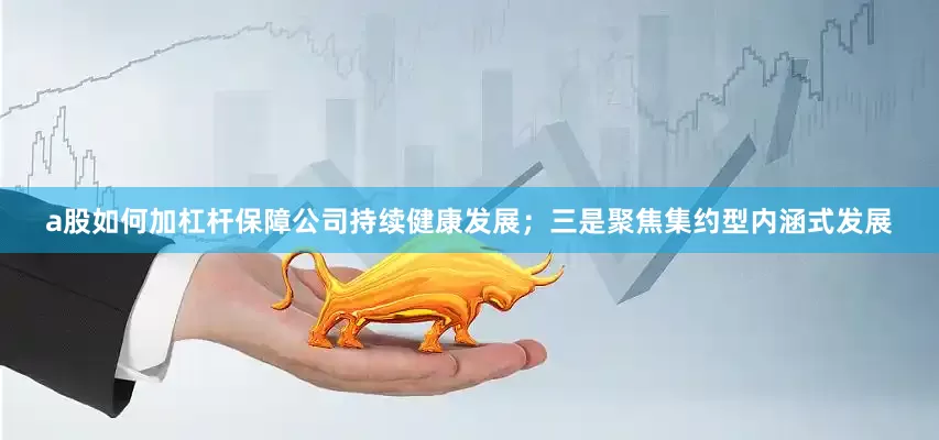 a股如何加杠杆保障公司持续健康发展；三是聚焦集约型内涵式发展